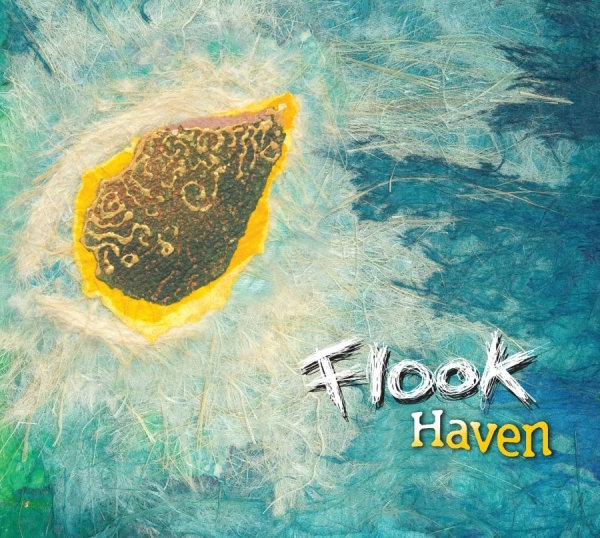 Flook - Haven in the group CD / Rock at Bengans Skivbutik AB (535535)
