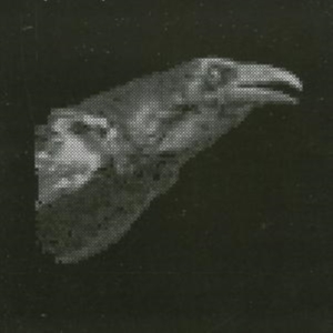 Cut City - Exit Decades in the group CD / Pop-Rock,Reggae at Bengans Skivbutik AB (536577)