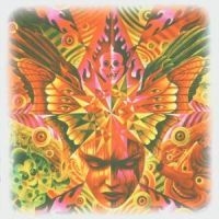 Cemetary - Phantasma in the group CD / Hårdrock at Bengans Skivbutik AB (537801)