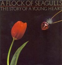 Flock Of Seagulls A - Story Of A Young Heart in the group CD / Pop-Rock at Bengans Skivbutik AB (538448)