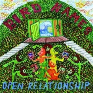 Bird Names - Open Relationship in the group CD / Pop-Rock at Bengans Skivbutik AB (539157)