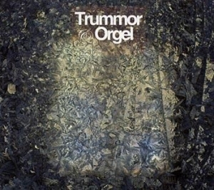 Trummor & Orgel - Visions in the group Minishops / Trummor Orgel at Bengans Skivbutik AB (539183)