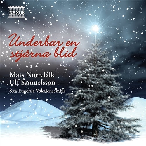 Various - Underbar En Stjärna Blid in the group OTHER /  / CDON Jazz klassiskt NX at Bengans Skivbutik AB (539480)