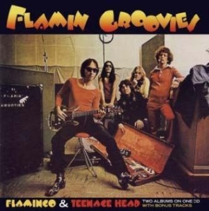 Flamin' Groovies - Flamingo/Teenage Head in the group CD / Rock at Bengans Skivbutik AB (540051)