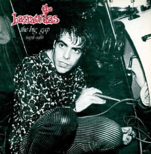 Barracudas - Big Gap  1978-1981 in the group CD / Pop-Rock at Bengans Skivbutik AB (541778)