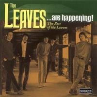 Leaves The - The Leaves...Are Happening! The Bes in the group OUR PICKS / Classic labels / Sundazed / Sundazed CD at Bengans Skivbutik AB (543166)
