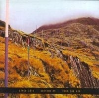 SECTION 25 - FROM THE HIP in the group CD / Pop-Rock at Bengans Skivbutik AB (543381)