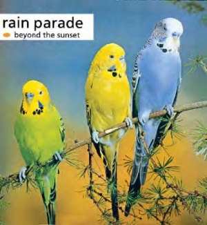 Rain Parade - Beyond The Sunset in the group CD / Rock at Bengans Skivbutik AB (543484)