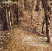 Schnittke/Pärt - Voices Of Nature in the group Externt_Lager /  at Bengans Skivbutik AB (547257)
