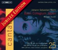 Bach Johann Sebastian - Cantatas Vol 25 in the group Externt_Lager /  at Bengans Skivbutik AB (548302)