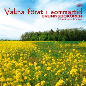 Brunnsbokören - Vakna Först I Sommartid in the group CD / Elektroniskt,Svensk Folkmusik at Bengans Skivbutik AB (549233)
