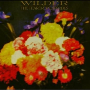 Teardrop Explodes - Wilder in the group CD / Pop at Bengans Skivbutik AB (549820)