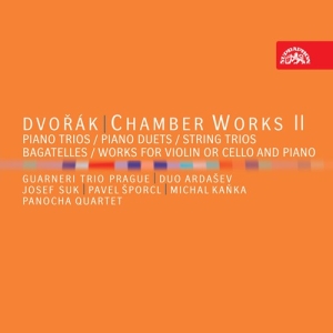 Dvorák Antonín - Chamber Works Ii (7 Cd) in the group CD / Klassiskt at Bengans Skivbutik AB (5503078)