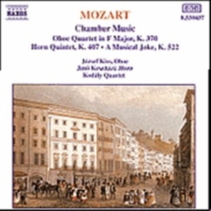 Mozart Wolfgang Amadeus - Chamber Music in the group CD / Klassiskt at Bengans Skivbutik AB (5503215)