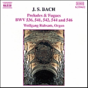 Bach Johann Sebastian - Preludes & Fugues in the group CD / Klassiskt at Bengans Skivbutik AB (5503219)