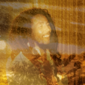 Bob Marley - Small Axe in the group VINYL / Reggae at Bengans Skivbutik AB (5503492)