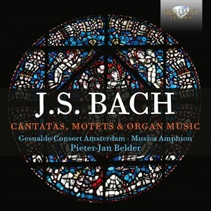 Bach Johann Sebastian - Cantatas, Motets & Organ Music (6Cd in the group CD / Klassiskt at Bengans Skivbutik AB (5503882)