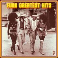 Various Artists - Funk Greatest Hits in the group VINYL / RnB-Soul at Bengans Skivbutik AB (5505946)
