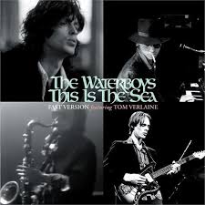 Waterboys - This Is The Sea -Black Fr- in the group OTHER / MK Test 9 LP at Bengans Skivbutik AB (5506376)