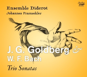 Ensemble Diderot / Johannes Pramsohler - J.G. Goldberg & W.F. Bach: Trio Sonatas in the group CD / Klassiskt at Bengans Skivbutik AB (5506490)
