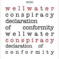 Wellwater Conspiracy - Declaration Of Conformity in the group VINYL / Pop-Rock at Bengans Skivbutik AB (5506790)