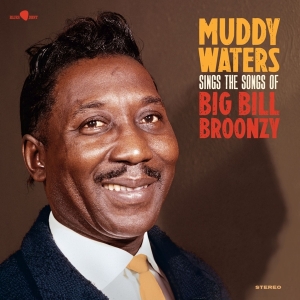 Waters Muddy - Sings Big Bill in the group VINYL / Blues at Bengans Skivbutik AB (5506944)