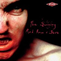 Pig Keith Leblanc Kmfdm - The Swining / Red Raw & Sore in the group CD / Pop-Rock at Bengans Skivbutik AB (5507526)