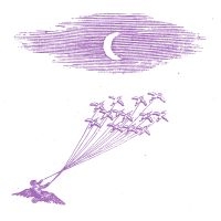 Feeling Figures - Migration Magic in the group VINYL / Pop-Rock at Bengans Skivbutik AB (5507863)