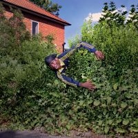 Master Peace - How To Make A Master Peace in the group OTHER / Forthcoming products - 10 percent at Bengans Skivbutik AB (5508364)