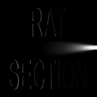 Rat Section - What Stays In Vegas in the group CD / Pop-Rock at Bengans Skivbutik AB (5508563)
