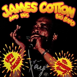 James Cotton & His Big Band - Live In Chicago - Mr. Superharp in the group VINYL / Pop-Rock at Bengans Skivbutik AB (5508820)