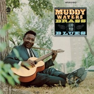 Muddy Waters - Muddy, Brass & The Blues in the group OTHER / Övrigt /  at Bengans Skivbutik AB (5509172)