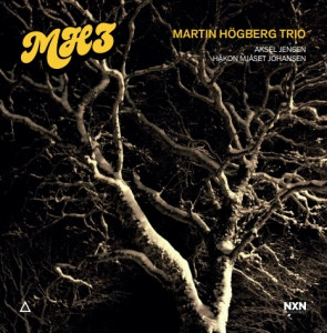 Martin Högberg Trio - Mh3 in the group CD / Jazz at Bengans Skivbutik AB (5509278)