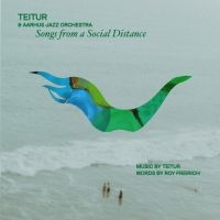 Teitur & Aarhus Jazz Orchestra - Songs From A Social Distance in the group VINYL / Jazz at Bengans Skivbutik AB (5509291)