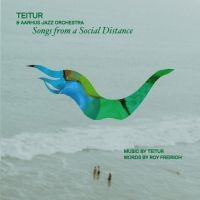 Teitur & Aarhus Jazz Orchestra - Songs From A Social Distance in the group VINYL / Bestsellers at Bengans Skivbutik AB (5509291)
