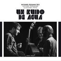 Nataniel Edelman Trio Feat. Michael - Un Ruido De Agua in the group CD / Jazz at Bengans Skivbutik AB (5509395)