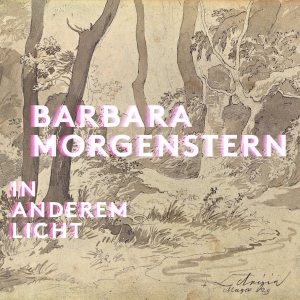Barbara Morgenstern - In Anderem Licht in the group VINYL / Pop-Rock at Bengans Skivbutik AB (5509665)