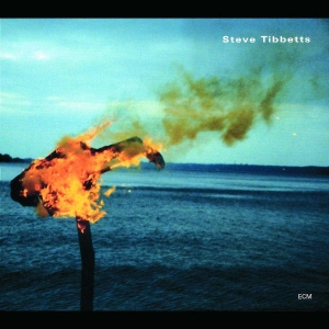 Tibbetts Steve - A Man About A Horse in the group CD / Jazz at Bengans Skivbutik AB (5509840)