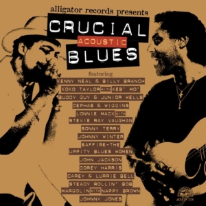 Blandade Artister - Crucial Acoustic Blues in the group OTHER / Övrigt /  at Bengans Skivbutik AB (550992)