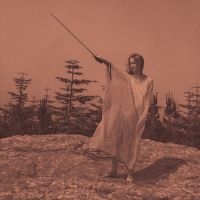 Unknown Mortal Orchestra - Ii (10 Year Anniversary Reissue) in the group VINYL / Pop-Rock at Bengans Skivbutik AB (5509921)