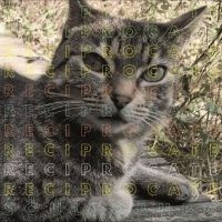 Reciprocate - Soul To Burn in the group VINYL / Pop-Rock at Bengans Skivbutik AB (5510270)