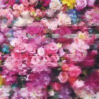 Bersarin Quartett - Systeme in the group CD / Pop-Rock at Bengans Skivbutik AB (5510317)