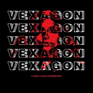 Vexagon - A New Flesh Experience in the group CD / Elektroniskt,Svensk Musik at Bengans Skivbutik AB (5510379)