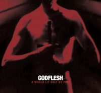 Godflesh - A World Only Lit By Fire (White Vin in the group VINYL / Pop-Rock at Bengans Skivbutik AB (5510568)