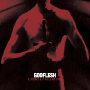 Godflesh - A World Only Lit By Fire (White Vin in the group VINYL / Pop-Rock at Bengans Skivbutik AB (5510568)