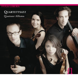 Various - Quartettsatz in the group CD / Klassiskt at Bengans Skivbutik AB (5511510)