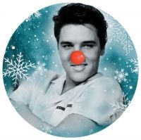 Presley Elvis - Elvis Christmas Album (Picture Disc in the group VINYL / Pop-Rock at Bengans Skivbutik AB (5512348)