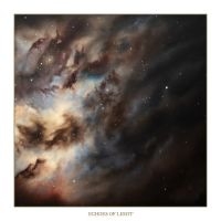 Chapel Of Disease - Echoes Of Light (Gold Vinyl Lp) in the group OUR PICKS / Friday Releases / Friday the 2th Feb 24 at Bengans Skivbutik AB (5513236)