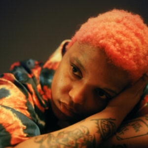 James Loraine - Gentle Confrontation (2Lp) in the group VINYL / Dance-Techno at Bengans Skivbutik AB (5513258)