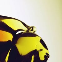 Hooray For Earth - True Loves in the group CD / Pop-Rock at Bengans Skivbutik AB (5513704)